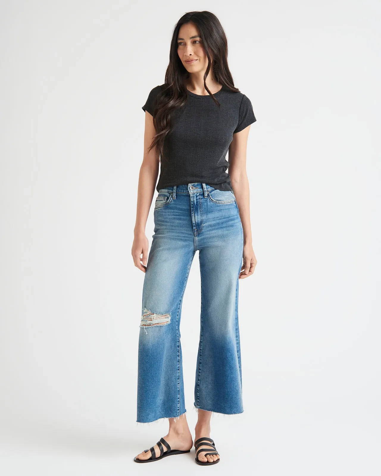 Arlie Pointelle Short Sleeve Tee