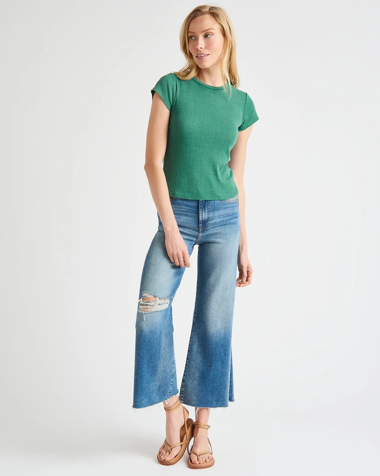 Arlie Pointelle Short Sleeve Tee