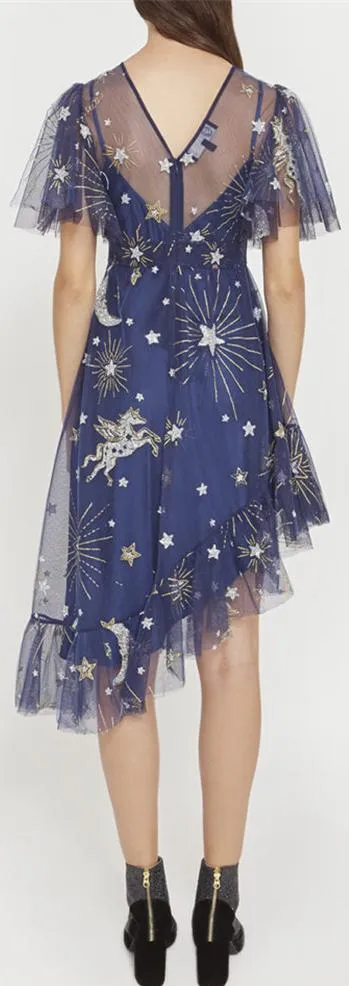 Asymmetrical Embroidered Tulle Dress